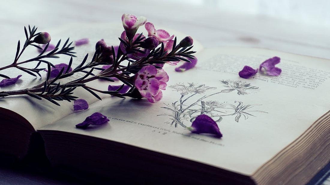 Carnet et manuscrit inachevé symbolisant le passage de l'écriture au livre