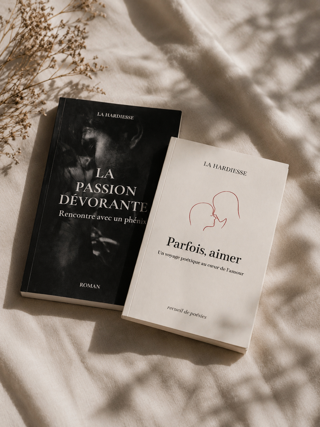 Pack Littéraire – Parfois, aimer… + La Passion Dévorante